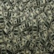Paid Too Much feat Dizzy Wright Single