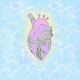 Chasin Dreams feat TNY Noah Single