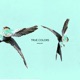 True Colors Single