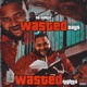 Wasted Days Wasted Nights
