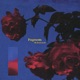 Fragments