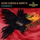 Shamanic Single