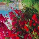 Lovesong Single