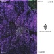 Hajimeru Single