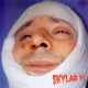 Skylab VI