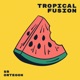 Tropical Fusion Deluxe Version