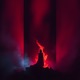 The Rise Single