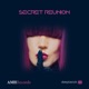 Secret Reunion Single