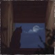 stray cat Single