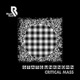 Critical Mass Single