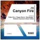 Canyon Fire Remixes