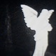 Shimmer Single
