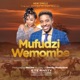Mufudzi Wemombe Single