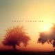 Sweet Sunshine feat Griffin Konkler Single