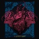 Capricorn Single