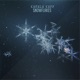 Snowflakes Single