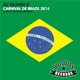Carnival De Brazil 2K14 Single