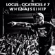 Whenaiseihip Cicatrices 7 Single