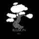 Illusion