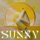 Sunny Single