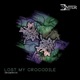Lost My Crocodile Single