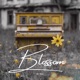 Blossom Single
