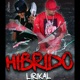 Hibrido Single