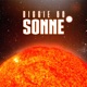 Sonne Single