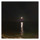 Over the Moon Single