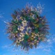 Carnival EP