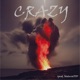 Crazy Single