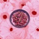 BEEF BOWL feat fony wallace Single