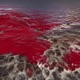 Blood Ocean Single