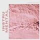 Instrumental Single