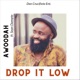 Drop It Low feat Sean Dampte Single