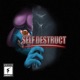 Self Destruct Single
