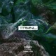 Ozone Single