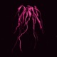 The Blood of the Heartless Detritus feat Banshee Single