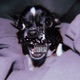 dirty dog Single
