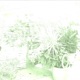 chance is a element Instrumental Version Single
