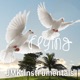 Flying Acoustic Guitar No Drums Pop Type Single