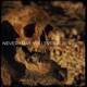 Never Have You Ever Single feat Universal Ali Single