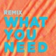 What You Need Marc Brauner Remix Single