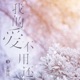 我的愛不用還 Single