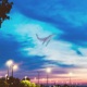 Blue Whale Skyline Single