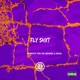 Fly Shxt feat TrayDaDreamer Diezel Single