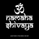OM NAMAH SHIVAYA feat Tezzz Music Mc Sky Single