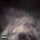 FEAR OF GOD feat Jasper Moranday Single