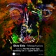 Metaphysics Single