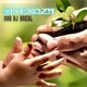sinexQsa feat Dreal Single